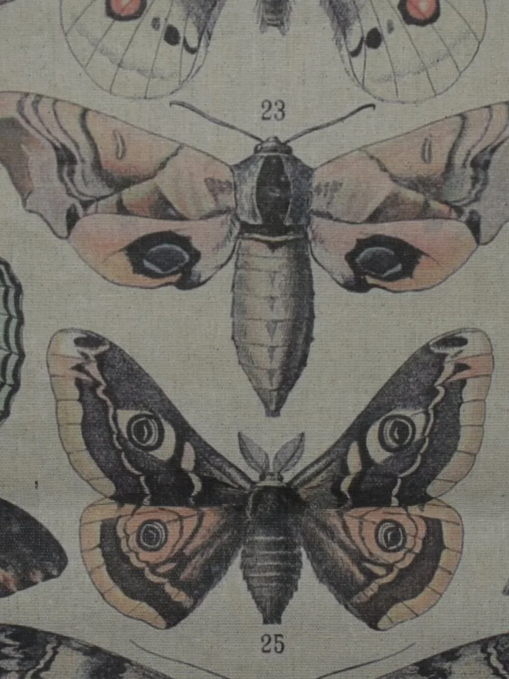 Butterfly Moth Large Linen Canvas Scroll Tapestry Boho Cottagecore Wall Decor